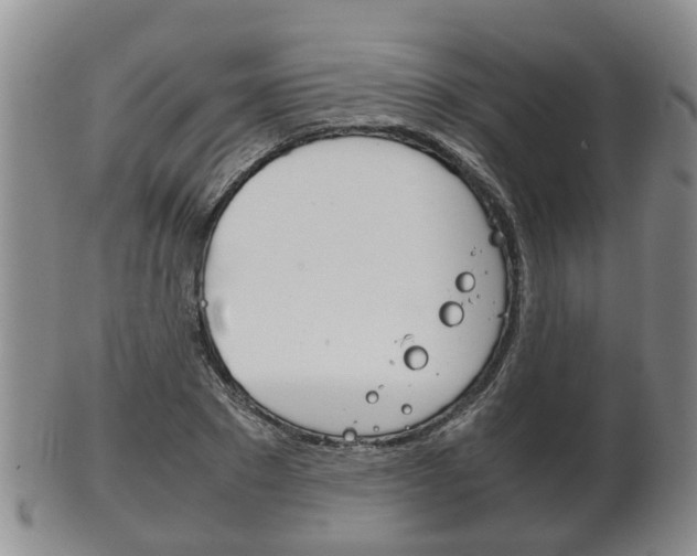 X0000102510881200808081004