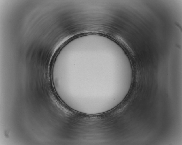 X0000102510884200808081004