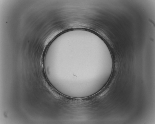 X0000102510885200808081004