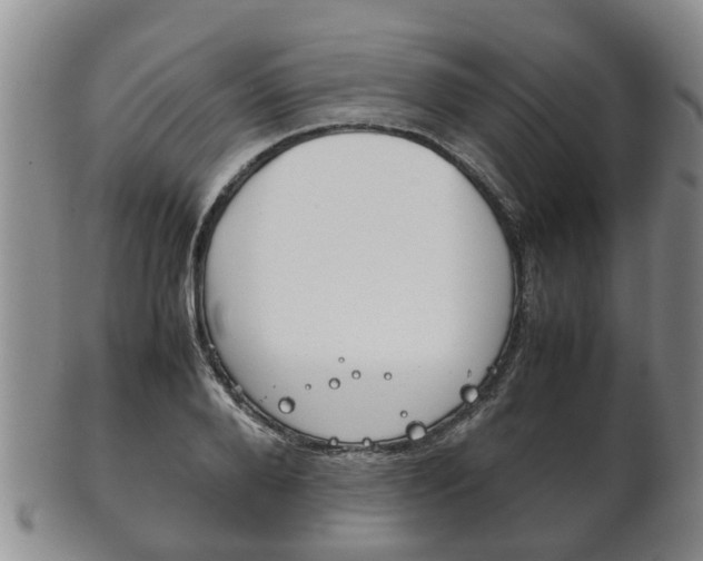 X0000102510888200808081004