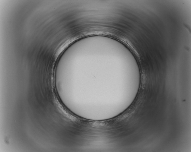 X0000102510890200808081004