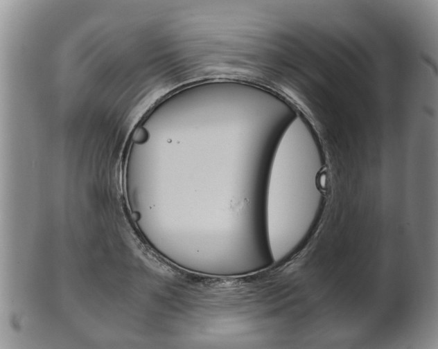 X0000102510891200808081004
