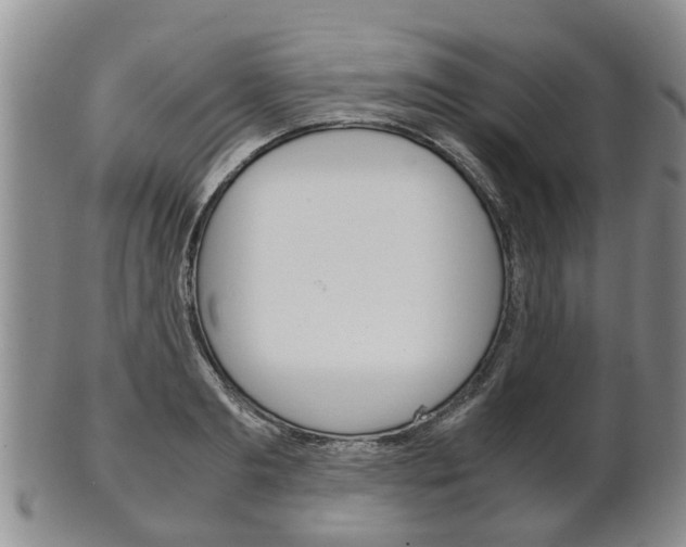 X0000102510893200808081004