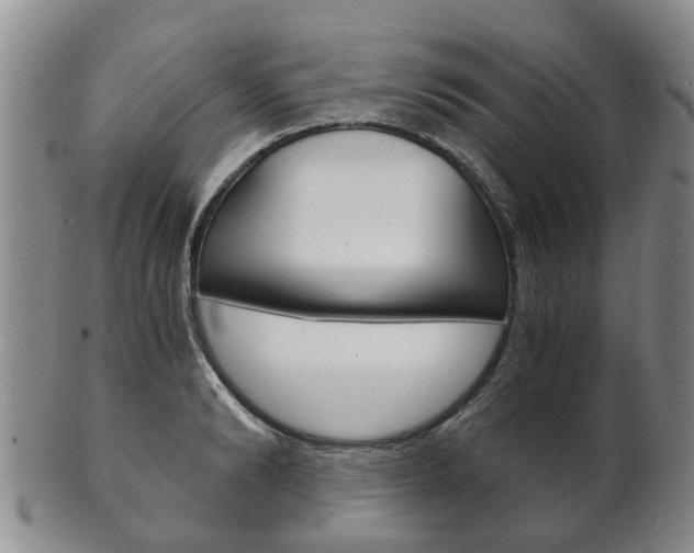 X0000102510894200808081004