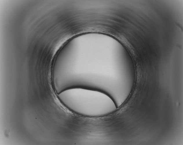 X0000102510896200808081004