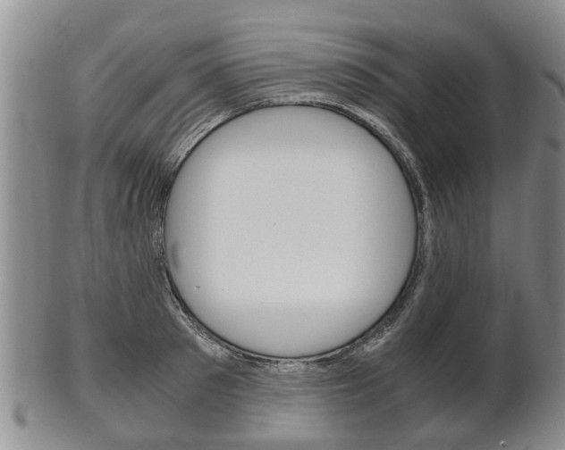 X0000102510897200808081004