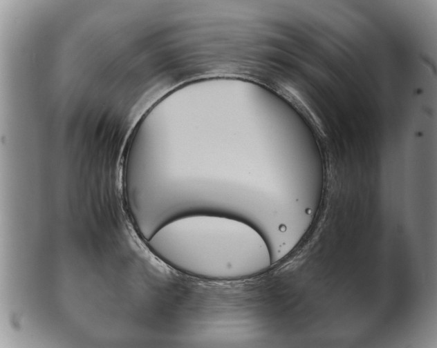 X0000102510900200808081004