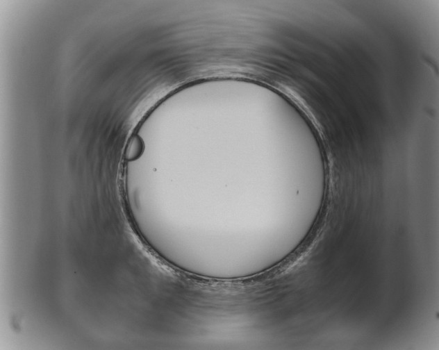 X0000102510901200808081004