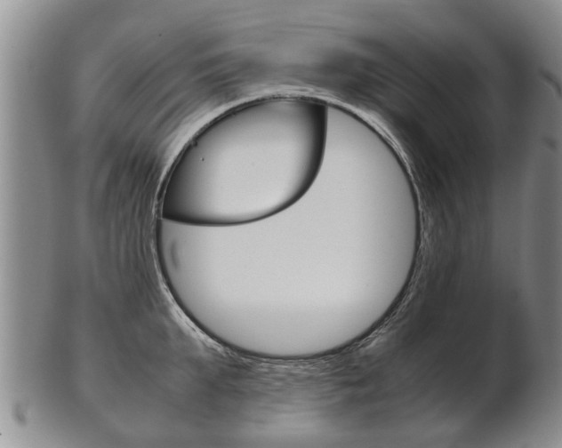 X0000102510903200808081004