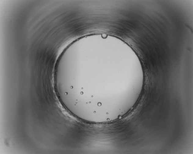 X0000102510904200808081004