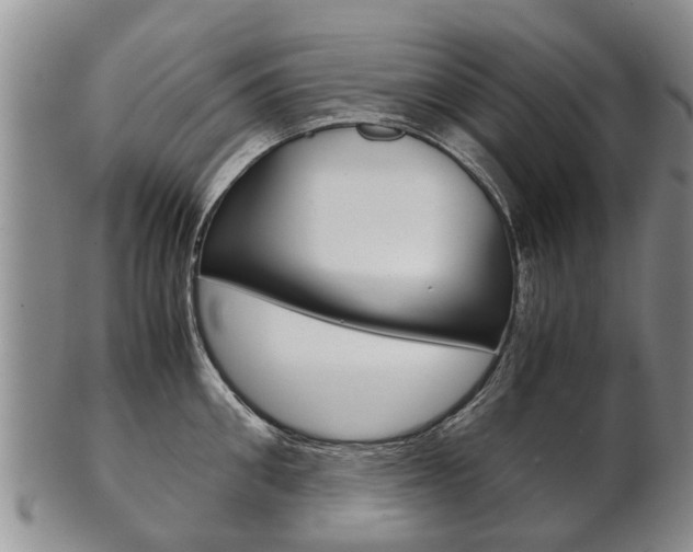 X0000102510906200808081004