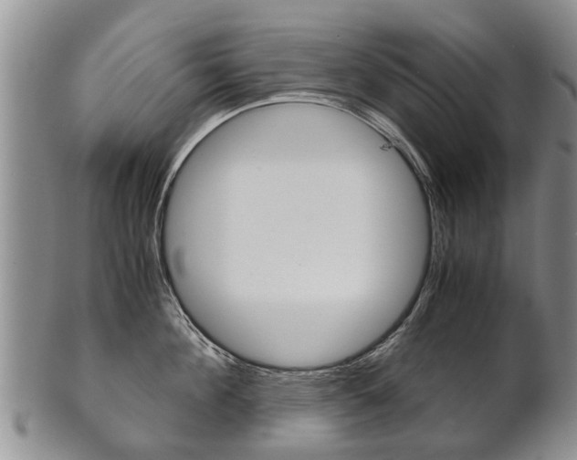 X0000102510908200808081004