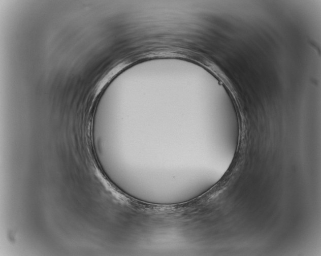X0000102510909200808081004