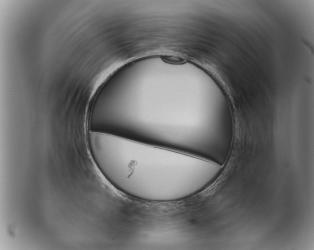 X0000102510910200808081004