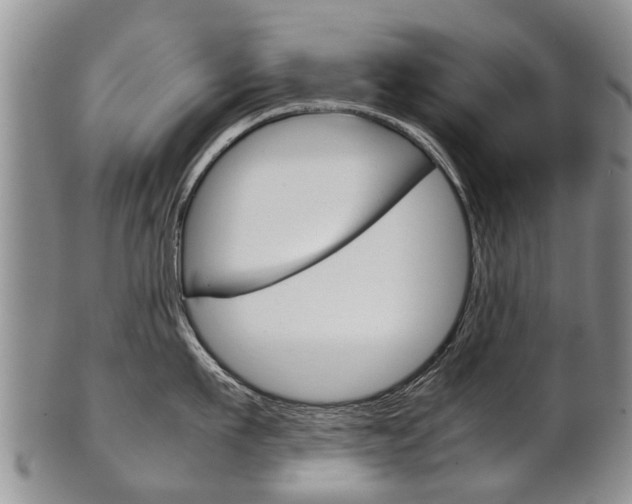 X0000102510911200808081004