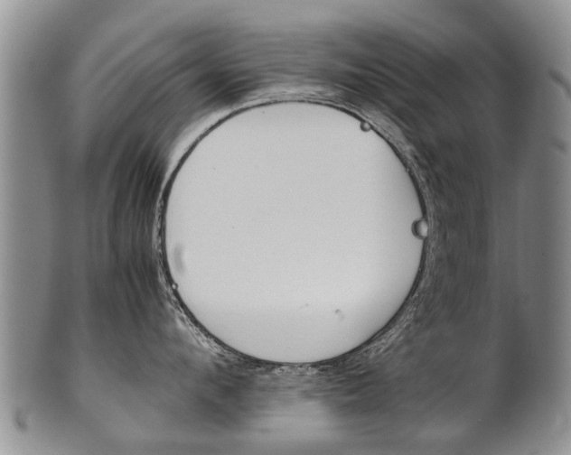 X0000102510912200808081004