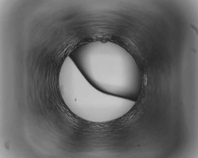 X0000102510915200808081003