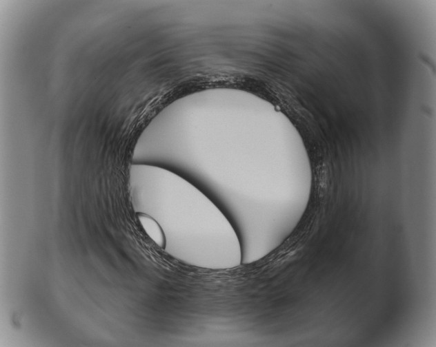X0000102510916200808081003