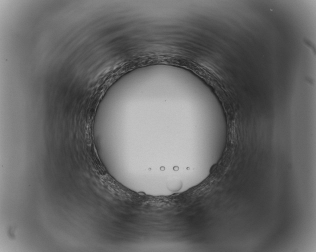 X0000102510917200808081003