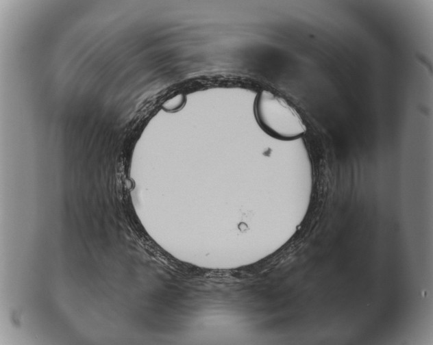 X0000102510918200808081003