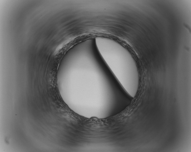 X0000102510919200808081003