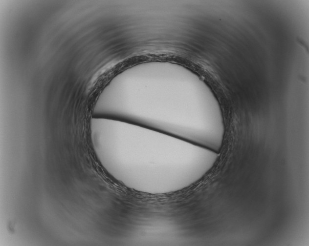 X0000102510920200808081003