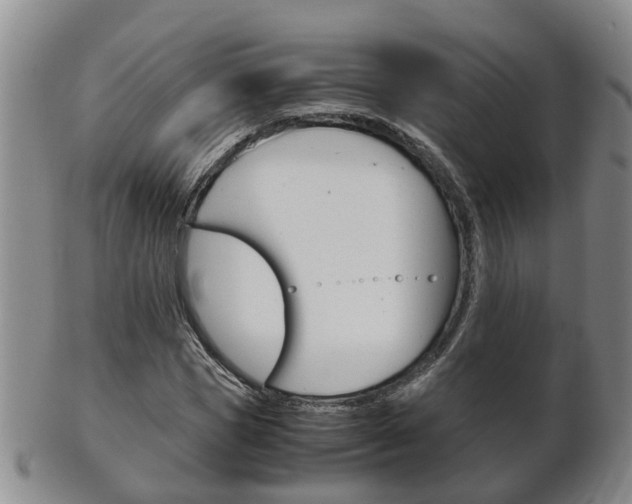 X0000102510921200808081003