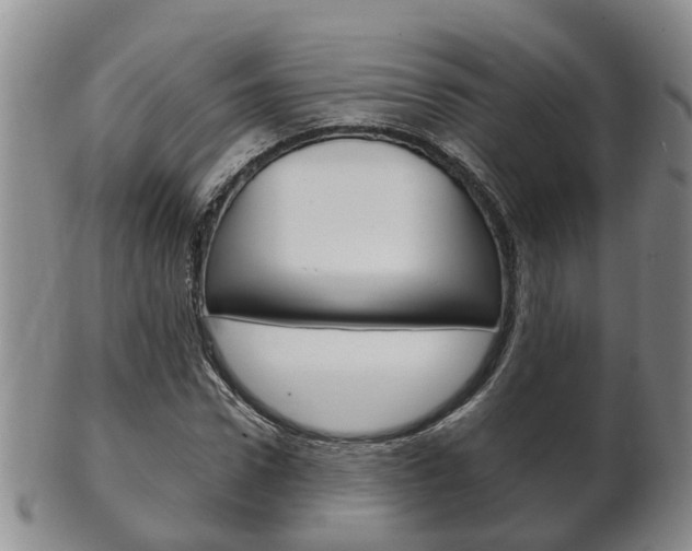 X0000102510922200808081003