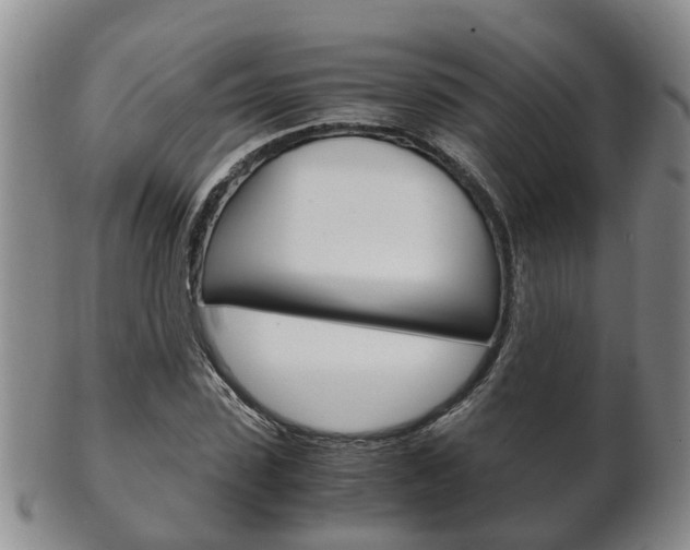X0000102510923200808081003