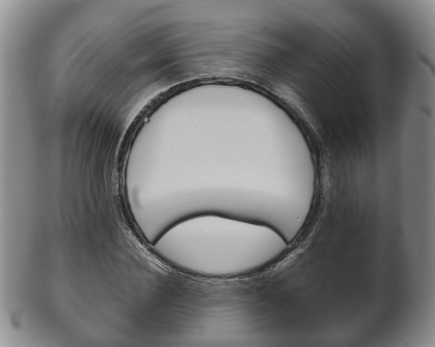 X0000102510924200808081003