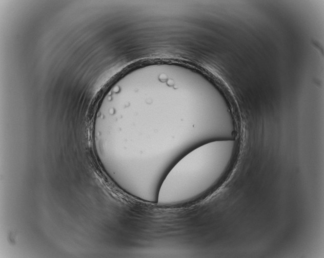 X0000102510925200808081003