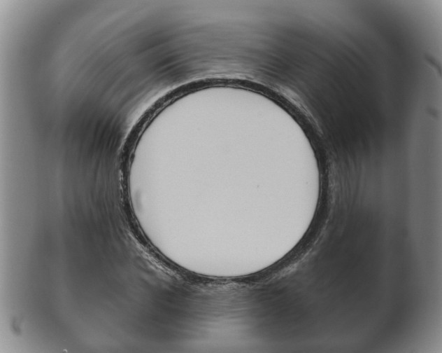 X0000102510926200808081003