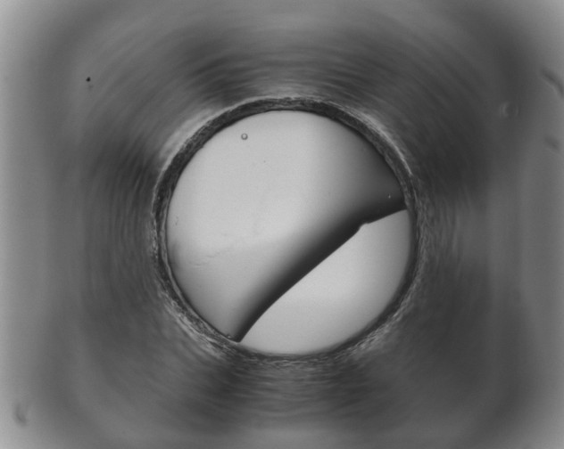 X0000102510927200808081003