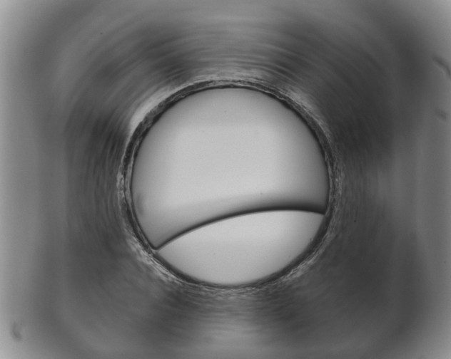 X0000102510928200808081004