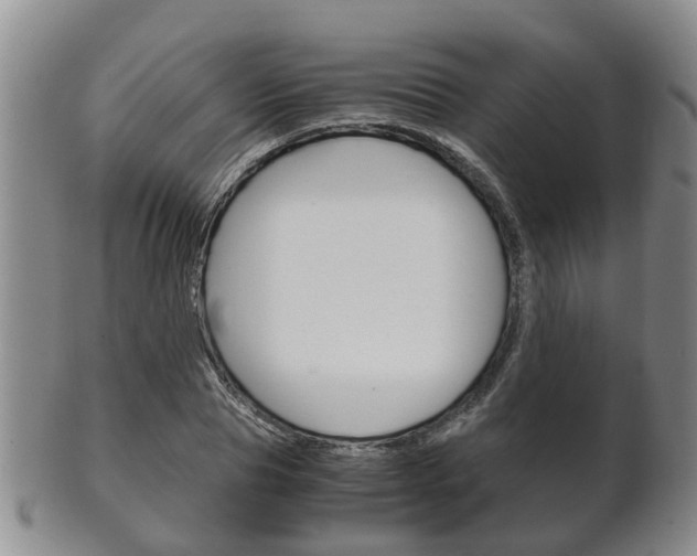 X0000102510929200808081004