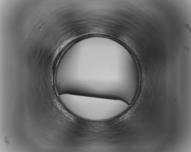 X0000102510931200808081004