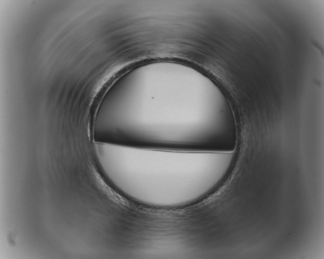 X0000102510934200808081004