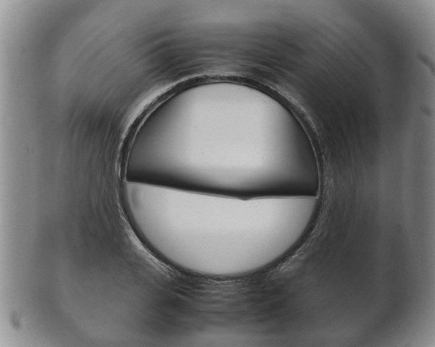 X0000102510935200808081004