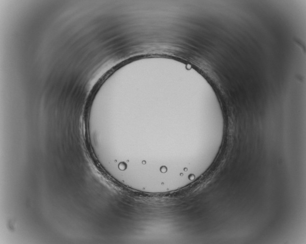 X0000102510936200808081004