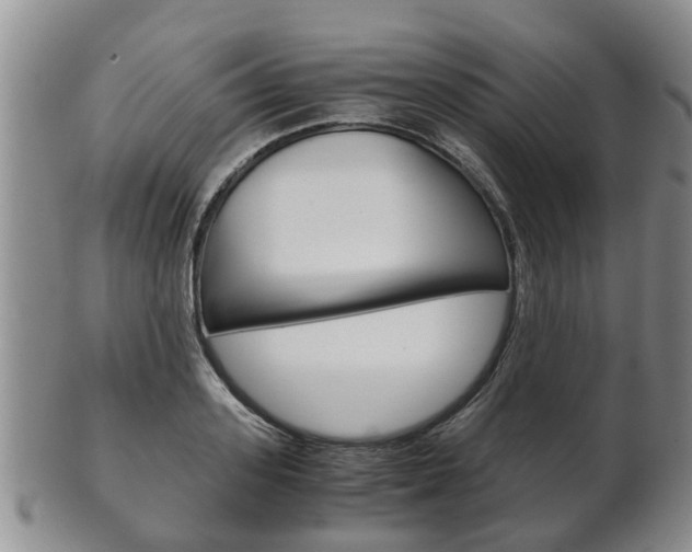 X0000102510939200808081004