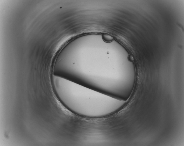X0000102510942200808081004