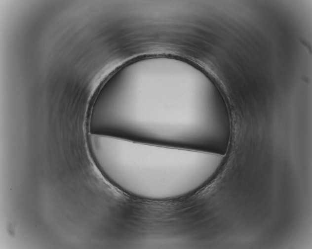 X0000102510943200808081004