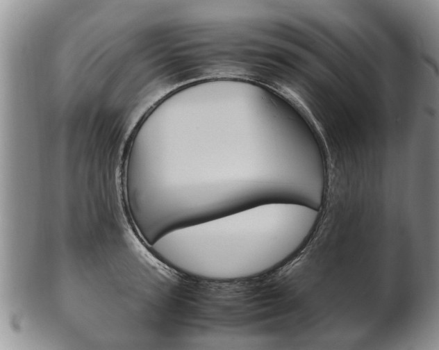 X0000102510947200808081004