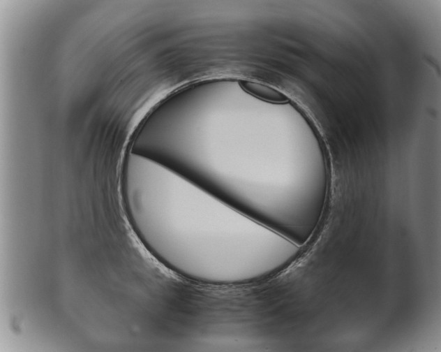 X0000102510949200808081004