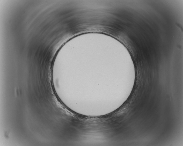 X0000102510950200808081004
