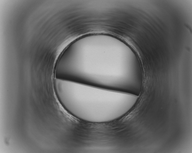 X0000102510951200808081004