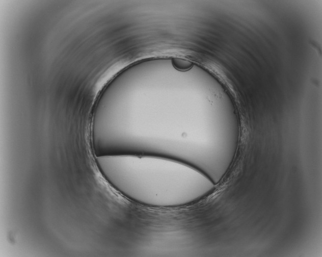 X0000102510952200808081004
