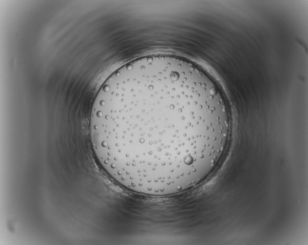 X0000102510953200808081004