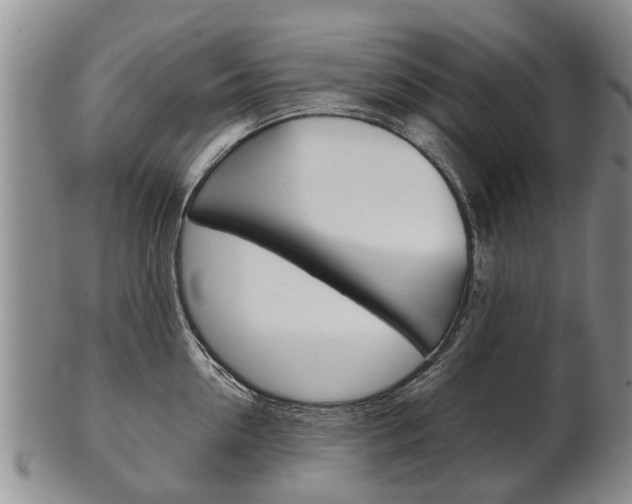 X0000102510954200808081004
