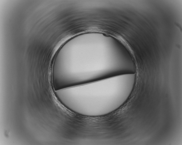 X0000102510955200808081004